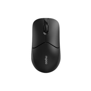 Rapoo 1510 Silent Wireless Optical Mouse